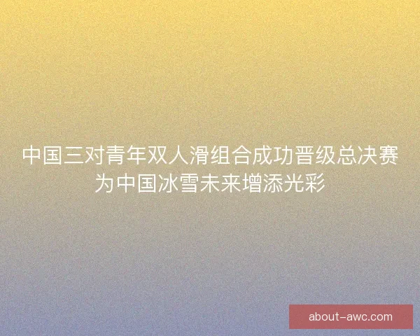 中国三对青年双人滑组合成功晋级总决赛为中国冰雪未来增添光彩